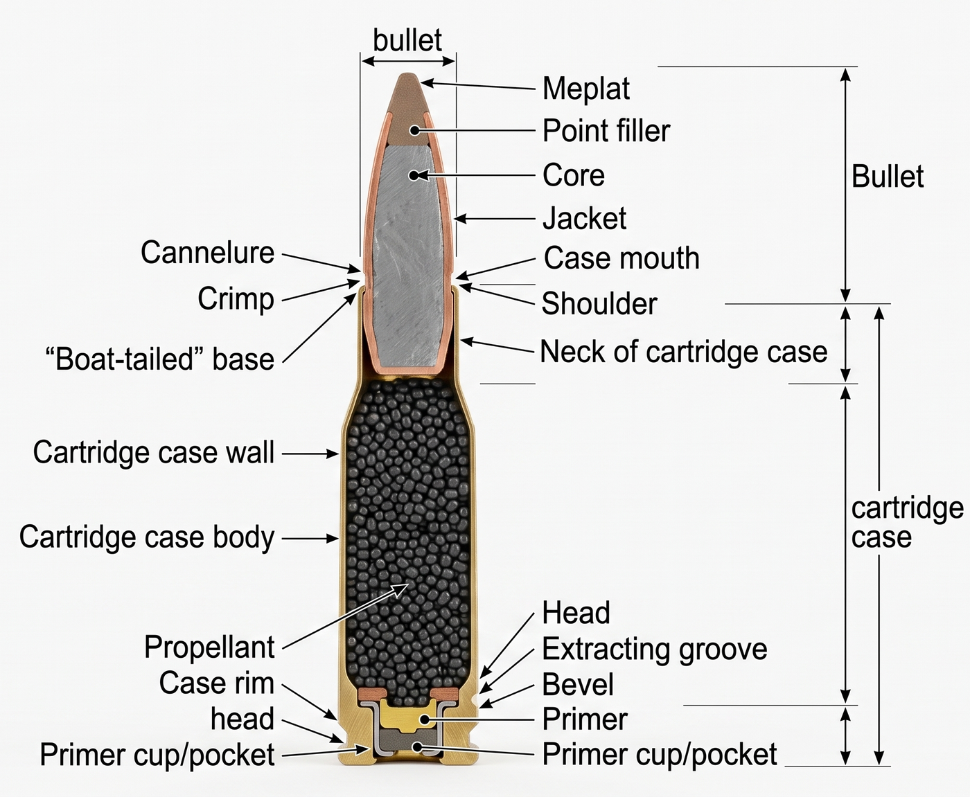 Labeled cross-section diagram of a rifle cartridge showing bullet, case, powder charge, primer, rim, neck, shoulder and headstamp
